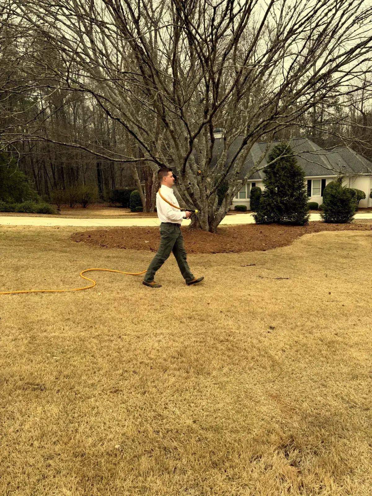 Residential lawn treatment in Centerville GA