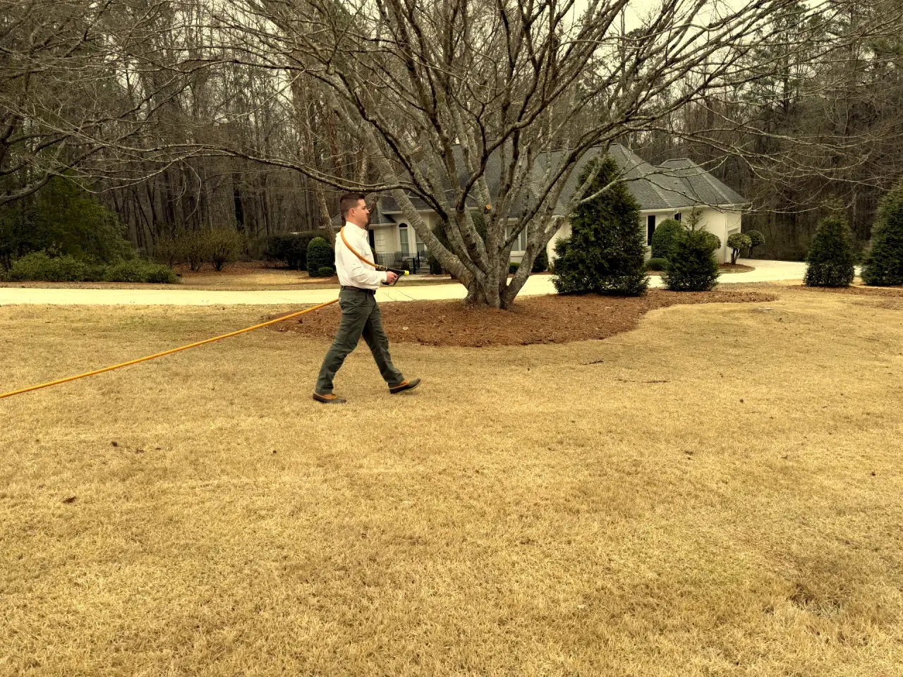 Professional bermuda grass care by Attaboy Lawn Care in Central Georgia
