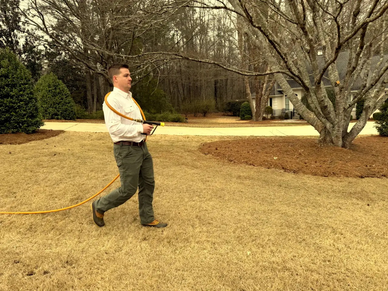 Professional centipede grass care by Attaboy Lawn Care in Central Georgia